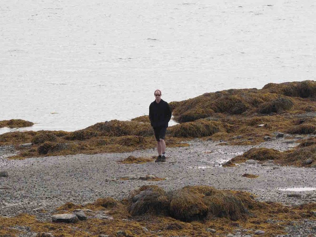 A Walk on The Beach at low tide
