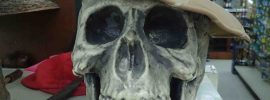A skull wearing a hat