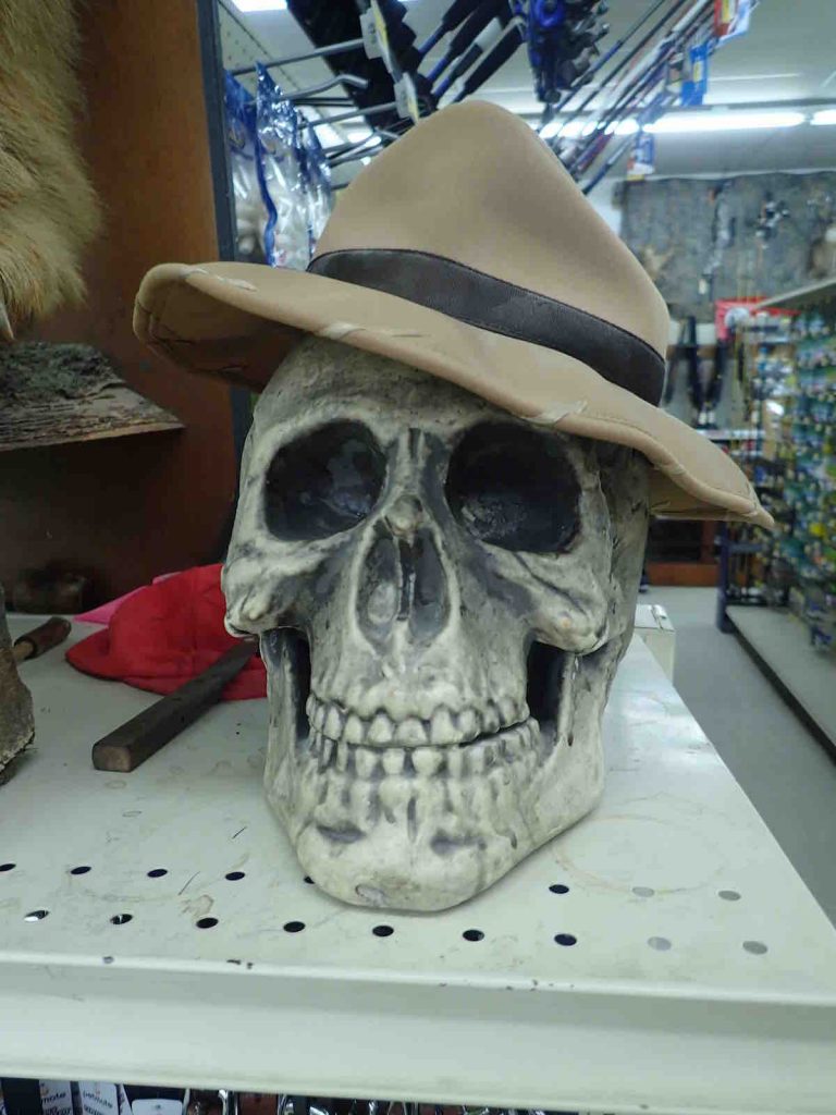 A skull wearing a hat