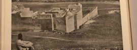 The Picturesque Gardens of Aleppo