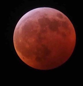 Wolf Blood Moon