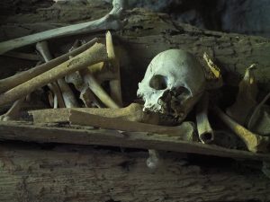 Photo of a skull and bones