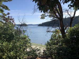 Picture of bay, islands, and harbor