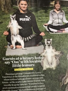 Yoga students in Lotus position with lemurs