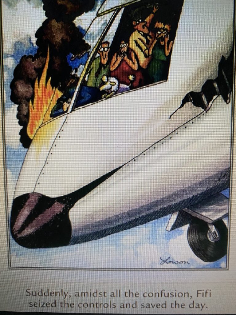 French Poodle flying burning plane.