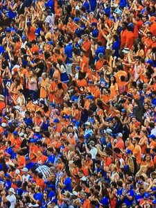 Crowd Shot